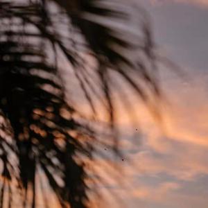 日本老师下面毛毛茸
